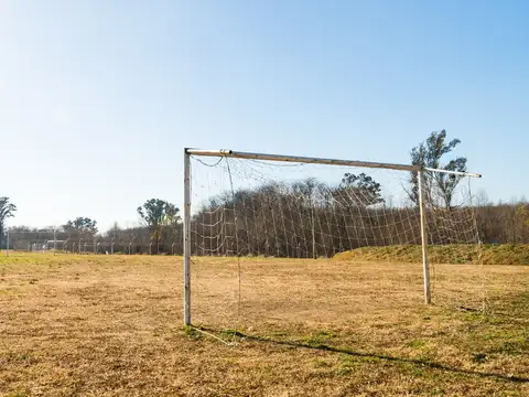 El 100