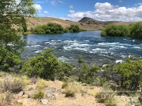 Bariloche  chacras Rio Limay 44 Has