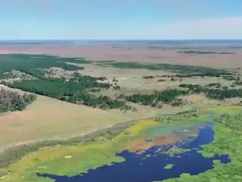 1.863 has Ganaderas/Forestales- Santa Rosa, Concepción, Corrientes