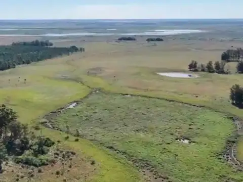 1.863 has Ganaderas/Forestales- Santa Rosa, Concepción, Corrientes