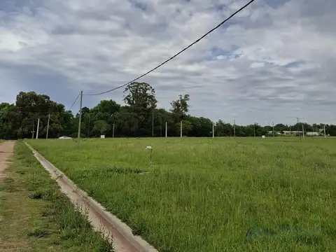 Terreno en Venta de 250,0 m2