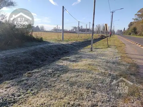 Terreno en Venta de 250,0 m2