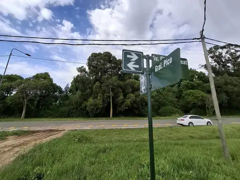 Oportunidad Venta Terreno Frente 250 m² en Pico y Champagnat, Pergamino, Bs. As.