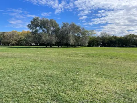 Valentin Vergara al 800