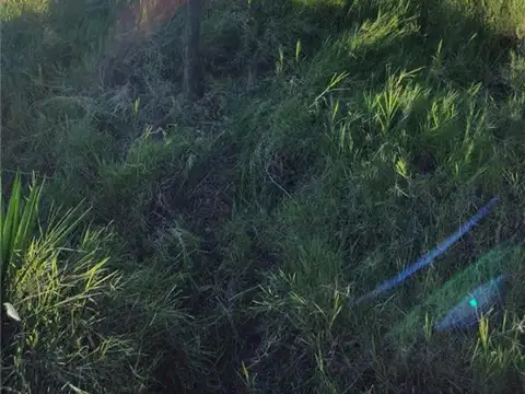 RUTA NAC 11.                   KM 100