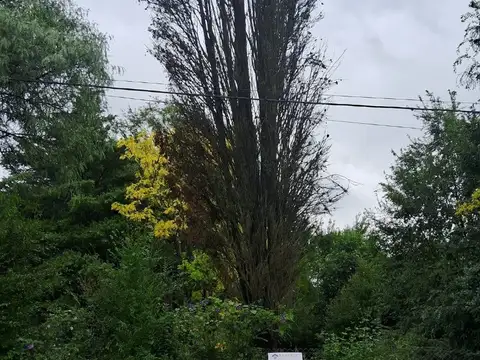 Terreno en Venta de 1000,0 m2