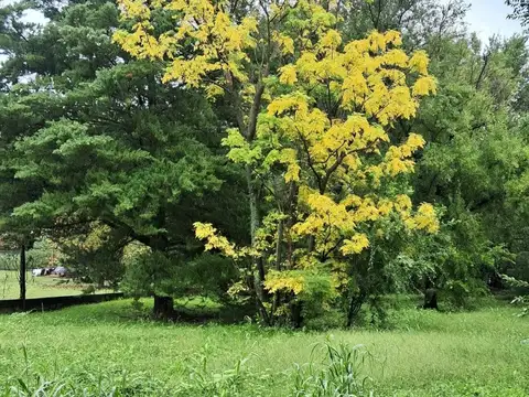 Terreno en Venta en Santa Rosa De Calamuchita, USD 80.000