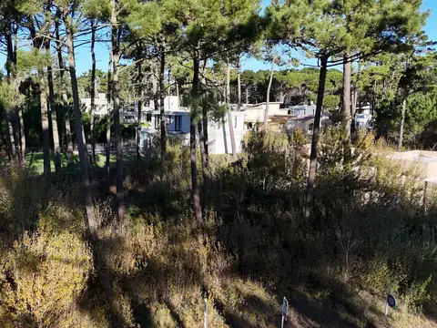 Terreno en Alamos II