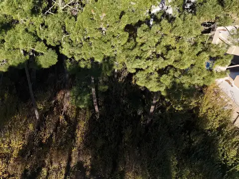 De La Deriva y Garzas  al 1100