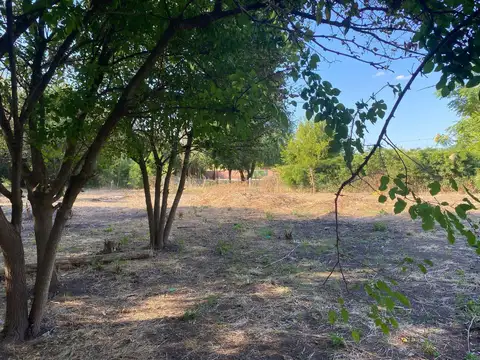 Terreno en Venta 32  mts Frente