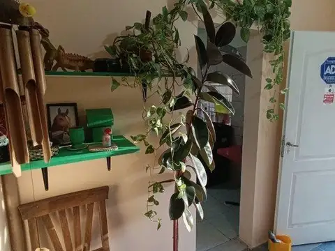 Clermont e/ Pasaje Doctor José Pena y Pasaje Doctor Miguel Gorman