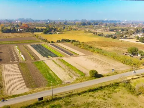 Rene Favaloro y Alfonsina Storni - Lotes 2.500 m2 - Loteo Industrial Granadero Baigorria