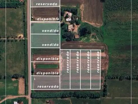 Loteo Industrial Gro. Baigorria - Lotes 2.500 m2