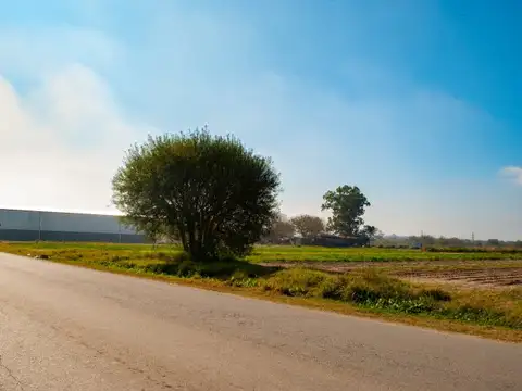 Terreno en Venta de 2500,0 m2