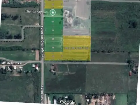 Loteo Industrial Gro. Baigorria - Lotes 2.500 m2