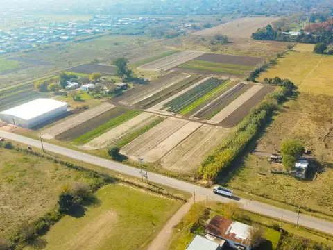 Rene Favaloro y Alfonsina Storni - Lotes 2.500 m2 - Loteo Industrial Granadero Baigorria