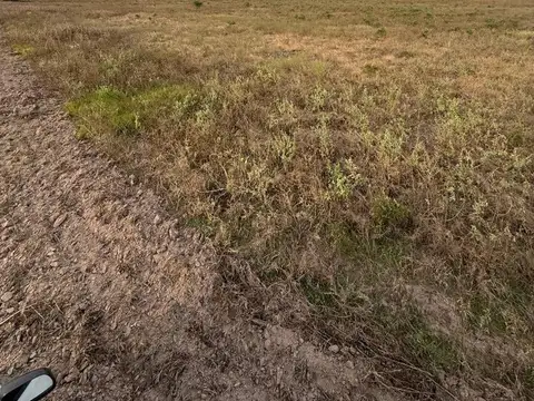 VENTA DE CAMPO AGRICOLA - COLONIA SIMBOLAR