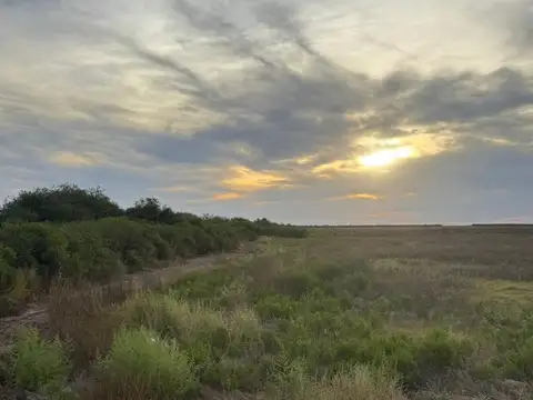 VENTA DE CAMPO AGRICOLA - COLONIA SIMBOLAR