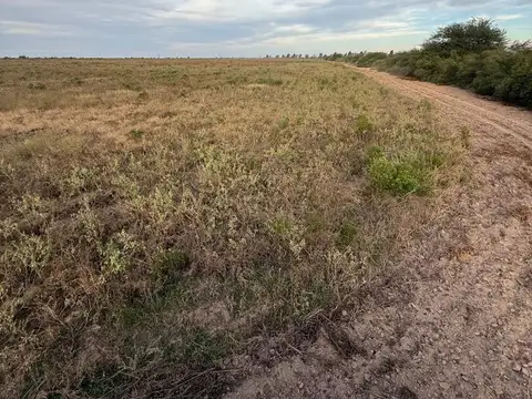 VENTA DE CAMPO AGRICOLA - COLONIA SIMBOLAR