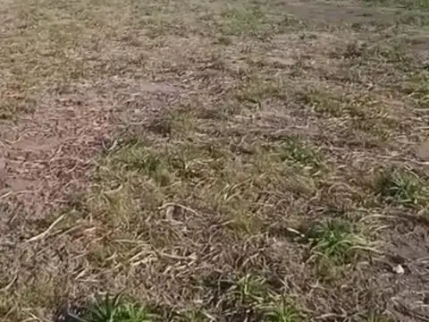 Terreno en venta - 625Mts2 - Cañuelas