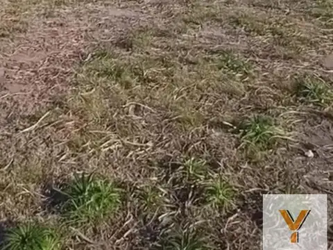 Terreno en venta - 625Mts2 - Cañuelas
