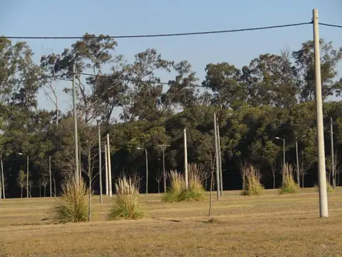 Calle Desconosida S/ N