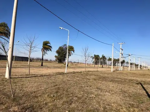 Terreno en Venta de 300,0 m2