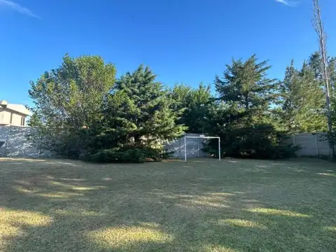 15 e/ 93 y 94 , Piso 0