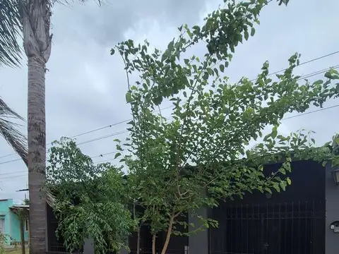 Andrés Rodriguez 100