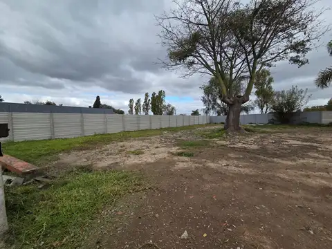 Colectora Oeste Ramal Escobar 300