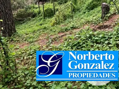 EN VENTA EN MAR AZUL DOS LOS LOTES DE TERRENOS JUNTOS DE 625 METROS TOTALES - FICHA 9899