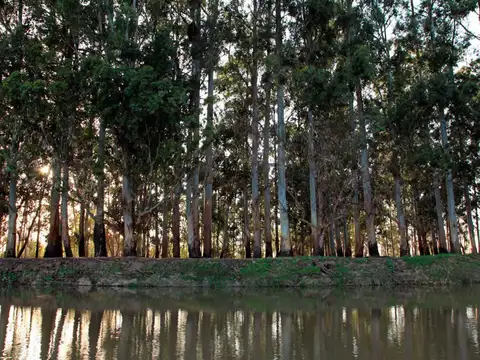 VENTA LOTE EN BAHÍAS DEL PARANÁ - CHACRA 2040 M2