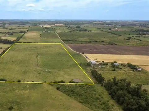Chacra de 12 Ha en Rincón de Albano. Coneat 188