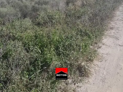 Terreno en Venta 50  mts Frente