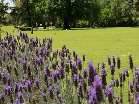 Terreno en Venta en Villa  Panamericana, USD 2.300