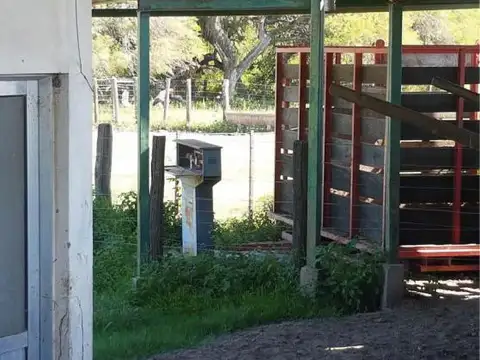 Est. 46.000 has Pirané, Formosa