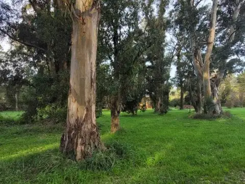 Terreno en Venta en Mar Chiquita, USD 22.000