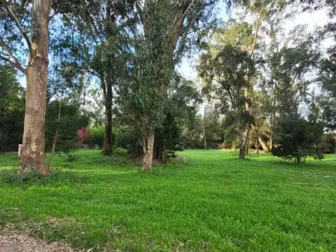VENTA OPORTUNIDAD LOTE, BARRIO LA ARMONIA, MAR CHIQUITA