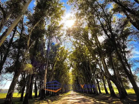 Terreno en Venta de 2249,0 m2