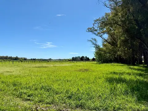 Lote en venta en Chacras de San Andres
