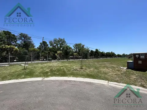 Terreno en Venta 20  mts Frente