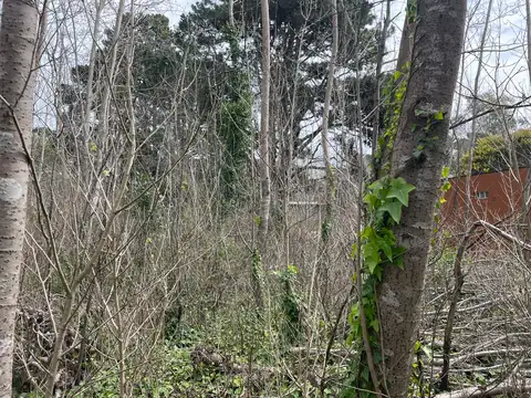 Terreno en Venta, FOT 0,6