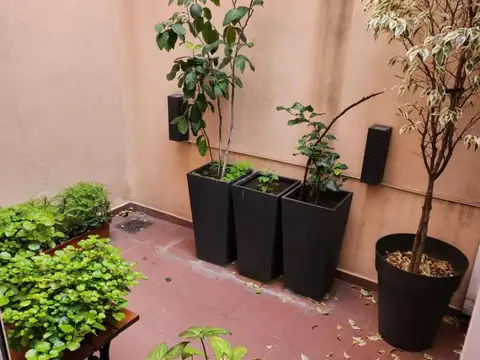Depto Tipo Casa en Venta de 2 ambientes