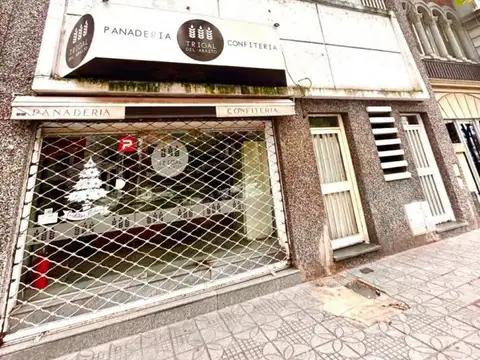 España 1700, amplia propiedad a metros de Pellegrini, 297m2