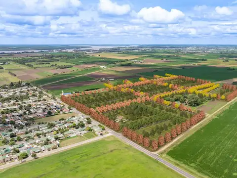 Terreno en Venta en General Lagos, USD 20.200