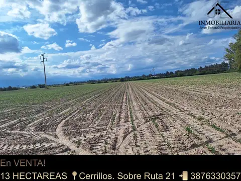 OPORTUNIDAD 13 HECTAREAS EN VENTA!