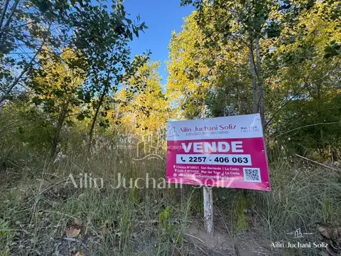Terreno en Venta 50  mts Fondo