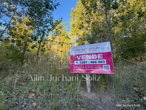 Terreno en Venta 20  mts Frente