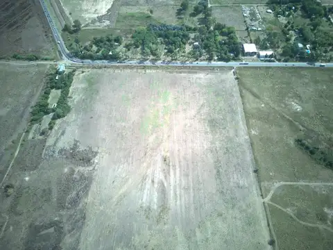 Arbolada del Camino de Las Flores. Ruta 16. Lote L 04