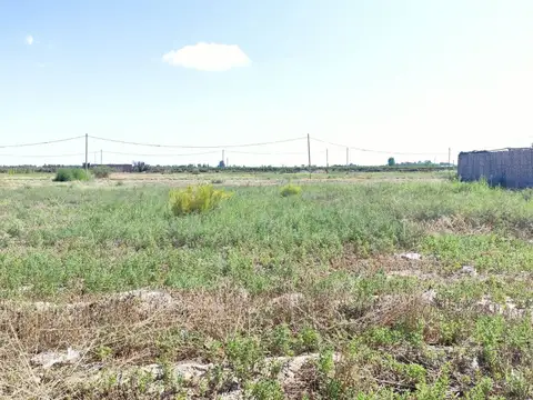 Lote en tierras de trapani
